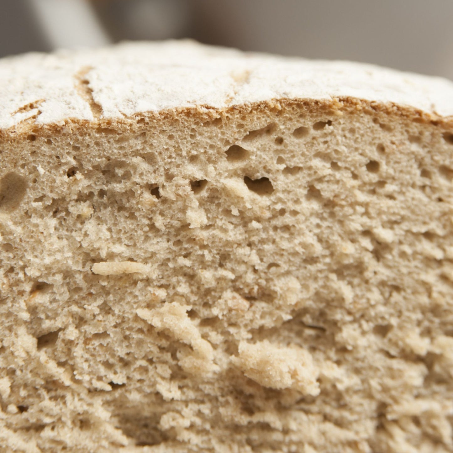 Sommerbrot (Bio)